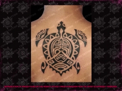 cippo tattoo